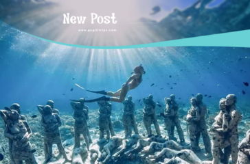 blog ggt 1